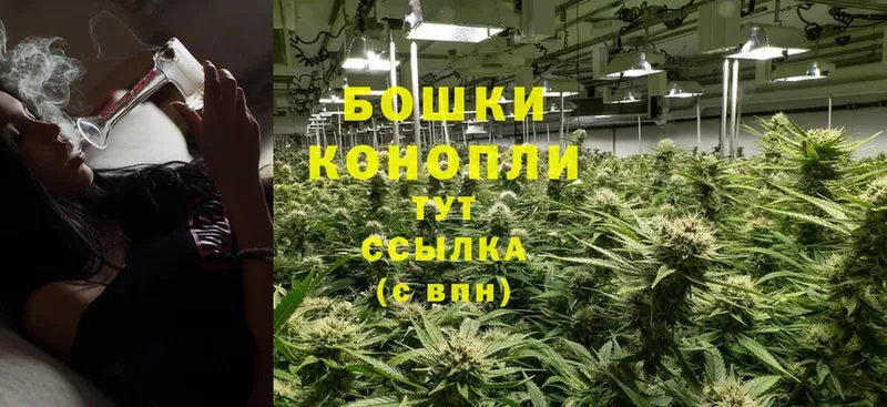 kraken зеркало  Инсар  Бошки марихуана LSD WEED 